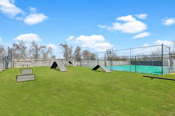 Dog park